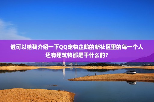 谁可以给我介绍一下QQ宠物企鹅的新社区里的每一个人还有建筑物都是干什么的？