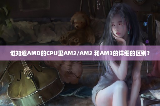 谁知道AMD的CPU里AM2/AM2+和AM3的详细的区别？