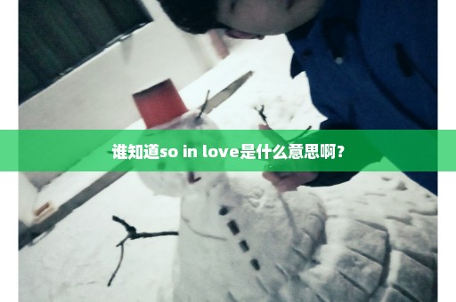 谁知道so in love是什么意思啊？