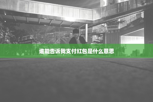 谁能告诉我支付红包是什么意思