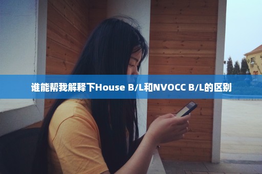 谁能帮我解释下House B/L和NVOCC B/L的区别