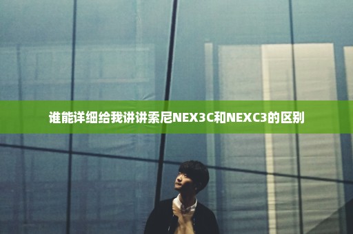 谁能详细给我讲讲索尼NEX3C和NEXC3的区别