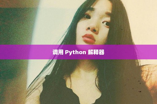 调用 Python 解释器