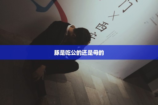 豚是吃公的还是母的