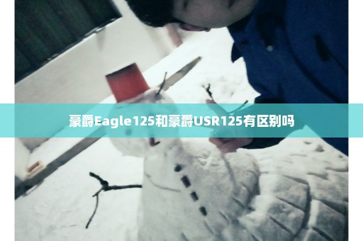 豪爵Eagle125和豪爵USR125有区别吗