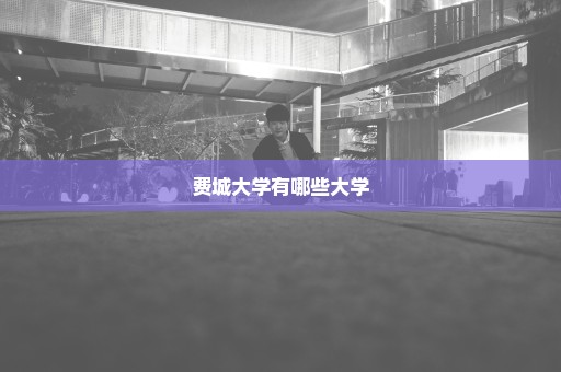 费城大学有哪些大学