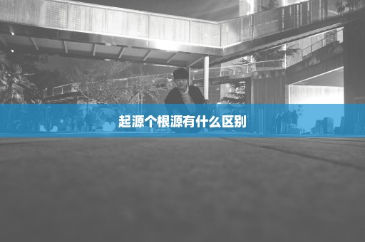 起源个根源有什么区别