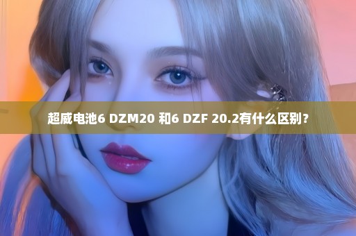 超威电池6 DZM20 和6 DZF 20.2有什么区别？