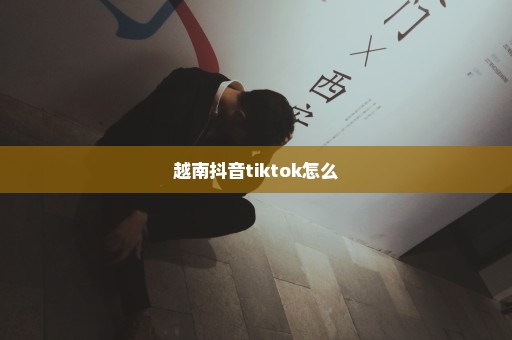 越南抖音tiktok怎么