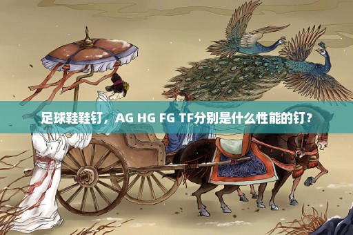 足球鞋鞋钉，AG HG FG TF分别是什么性能的钉？