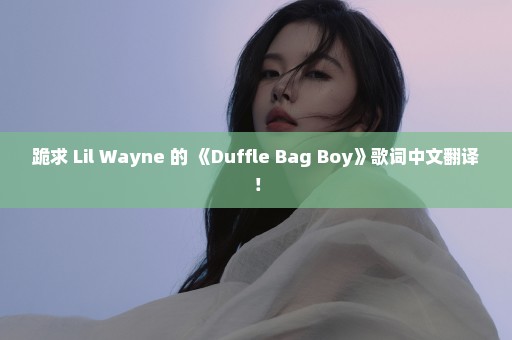 跪求 Lil Wayne 的 《Duffle Bag Boy》歌词中文翻译！