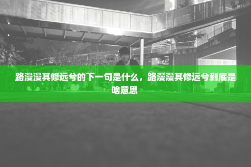 路漫漫其修远兮的下一句是什么，路漫漫其修远兮到底是啥意思 