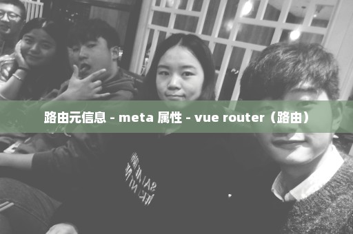 路由元信息 - meta 属性 - vue router（路由）