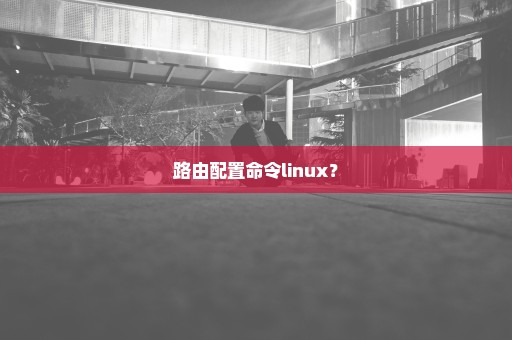 路由配置命令linux？