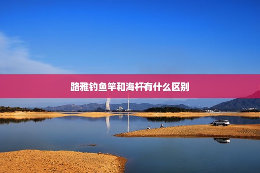 路雅钓鱼竿和海杆有什么区别