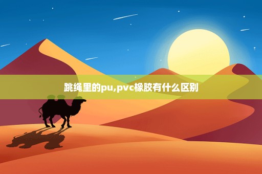 跳绳里的pu,pvc橡胶有什么区别