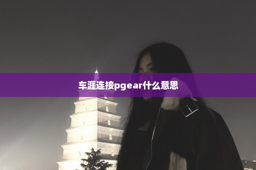 车涯连接pgear什么意思