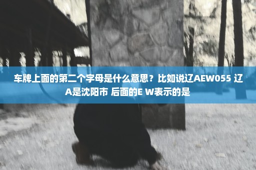 车牌上面的第二个字母是什么意思？比如说辽AEW055 辽A是沈阳市 后面的E W表示的是