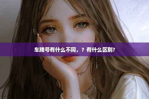 车牌号有什么不同，？有什么区别?