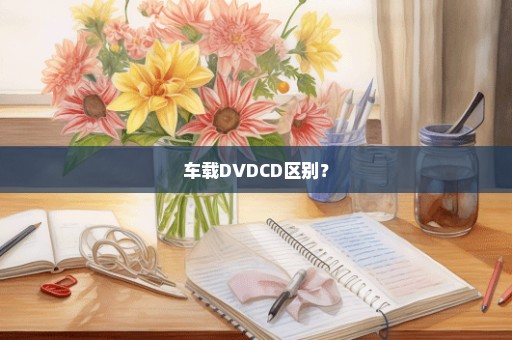 车载DVDCD区别？