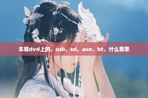 车载dvd上的，usb，sd，aux，bt，什么意思