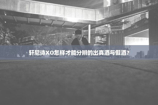 轩尼诗XO怎样才能分辨的出真酒与假酒？