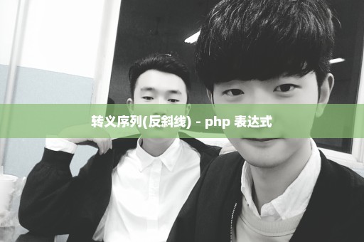 转义序列(反斜线) - php 表达式