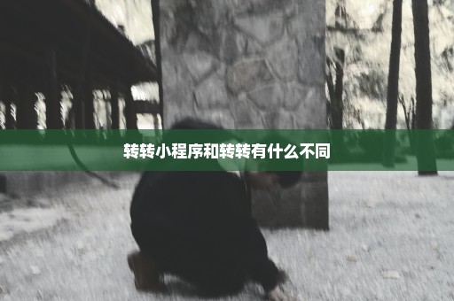 转转小程序和转转有什么不同