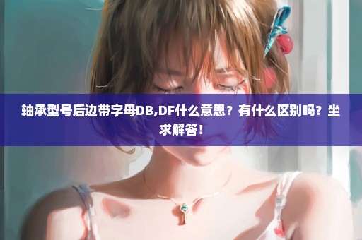 轴承型号后边带字母DB,DF什么意思？有什么区别吗？坐求解答！