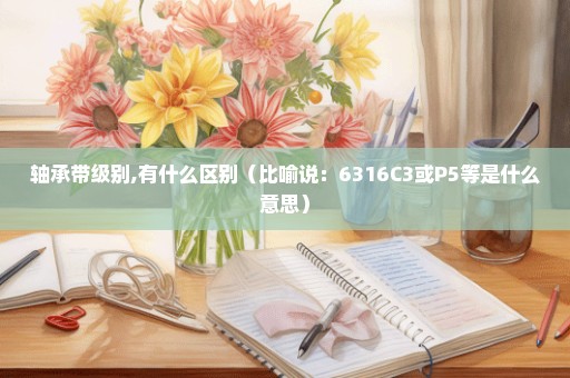 轴承带级别,有什么区别（比喻说：6316C3或P5等是什么意思）