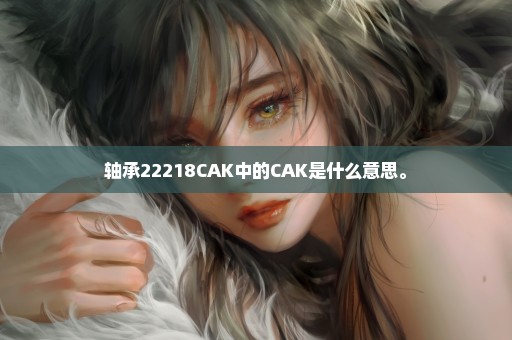 轴承22218CAK中的CAK是什么意思。