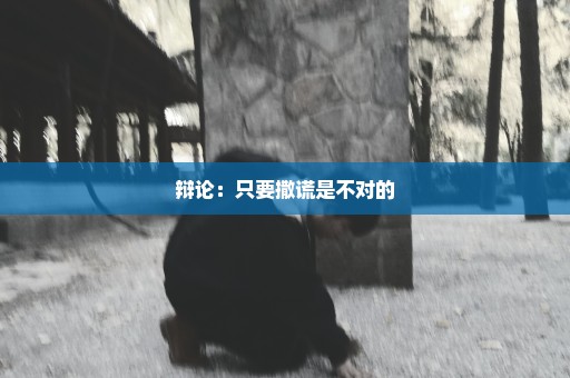 辩论：只要撒谎是不对的