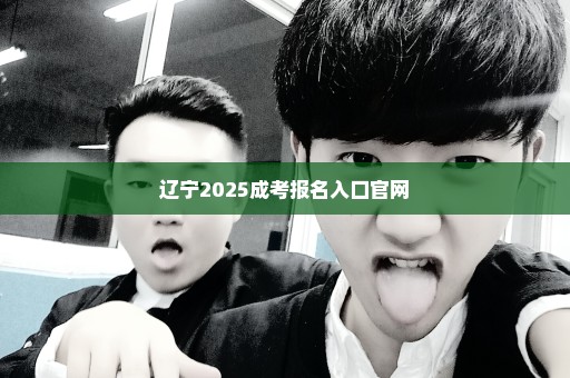 辽宁2025成考报名入口官网