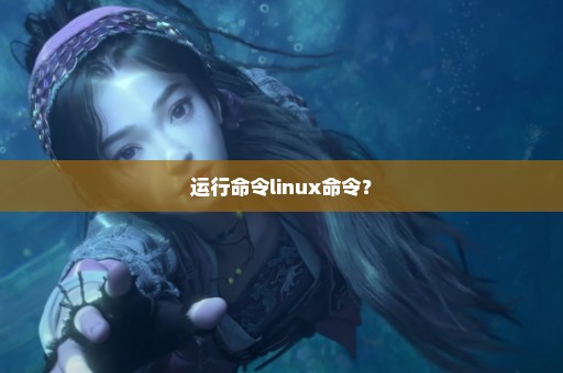 运行命令linux命令？