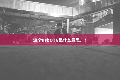 这个usbOTG是什么意思，？