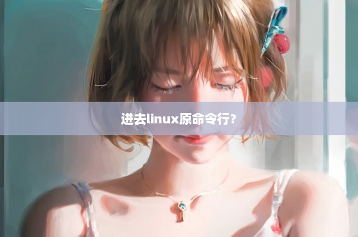 进去linux原命令行？