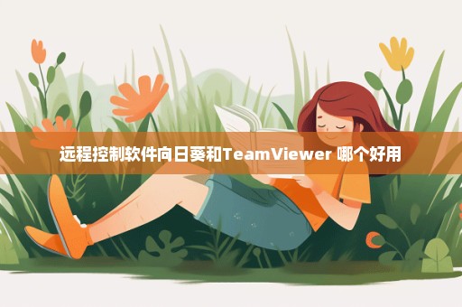 远程控制软件向日葵和TeamViewer 哪个好用