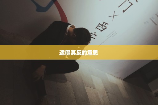 适得其反的意思