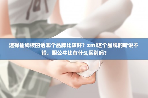 选择插线板的话哪个品牌比较好？zmi这个品牌的听说不错，跟公牛比有什么区别吗？