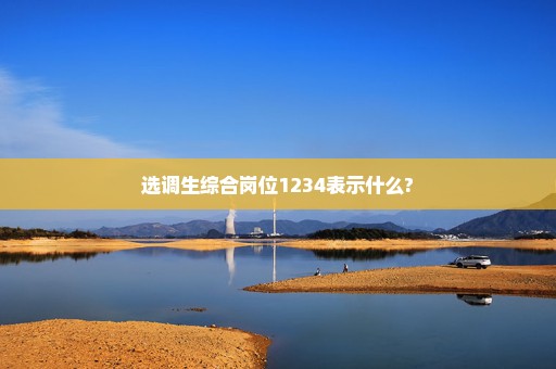 选调生综合岗位1234表示什么?