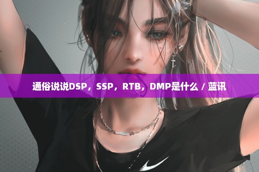 通俗说说DSP，SSP，RTB，DMP是什么 / 蓝讯