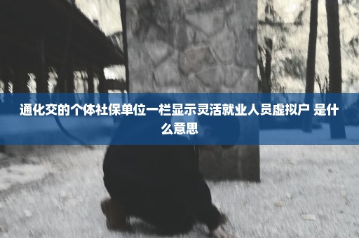 通化交的个体社保单位一栏显示灵活就业人员虚拟户 是什么意思