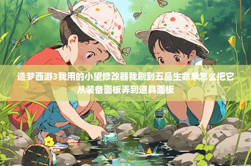 造梦西游3我用的小望修改器我刷到五品生命单怎么把它从装备面板弄到道具面板