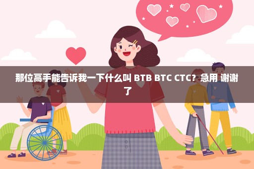 那位高手能告诉我一下什么叫 BTB BTC CTC？急用 谢谢了