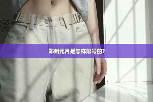 郑州元月是怎样限号的?