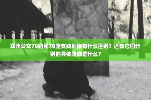 郑州公交78路和78路支线到底有什么区别？还有它们分别的具体路线是什么？