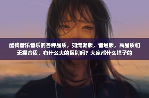 酷狗音乐音乐的各种品质，如流畅版，普通版，高品质和无损音质，有什么大的区别吗？大家都什么样子的