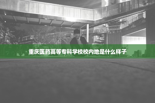 重庆医药高等专科学校校内地是什么样子