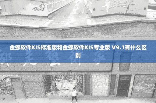 金蝶软件KIS标准版和金蝶软件KIS专业版 V9.1有什么区别