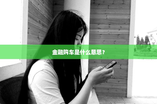 金融购车是什么意思？